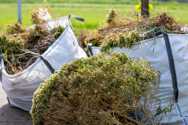Best Estate Cleanout Services  in Silver Lake, NC